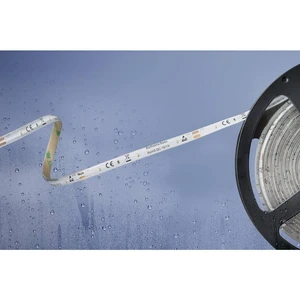 Barthelme Basic 51540434 51540434 LED pásik  voľný koniec 12 V/DC 5 m chladná biela