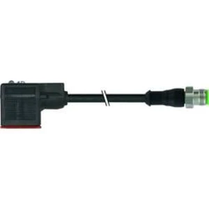 Dvojitý ventilový konektor s připojovacím vedením Murr Elektronik 7072-40881-7540100 počet pólů:2, 4, černá, 1 ks