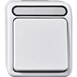 Tlačítko Schneider Electric AQUASTAR 4074987 polární bílá