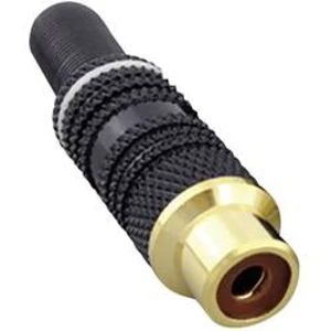 Cinch konektor BKL Electronic - spojka, rovná, pólů: 2, mono, bílá, 1 ks