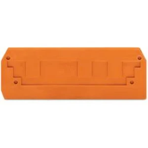 Koncová a oddělovací deska, WAGO 284-339, 97.4 mm x 2.5 mm x 35 mm , 100 ks