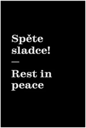 Spěte sladce! / Rest in peace - Matyáš Machat