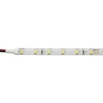 LED pásek Barthelme 51513234 51513234, 12 V, 12 W/m, N/A, 5 m