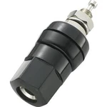 Pólová svorka TRU COMPONENTS 30 A, černá, 1 ks