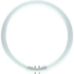 Kruhová zářivka Philips MASTER TL5 Circular 22W/840 T5 2GX13 neutrální bílá 4000K