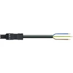 Napájecí kabel, otevřený konec WAGO 891-8993/205-201, zástrčka rovná, 1,5 mm², černá, 2 m