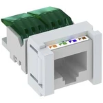 Připojovací jednotka OBO Bettermann 6117347 1 ks CAT 5e