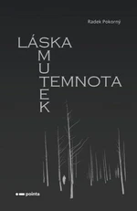 Láska, smutek, temnota - Radek Pokorný