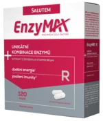 ENZYMAX R 120 kapslí