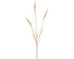 Umelá kvetina Vetva pšenice 75 cm, krémová%