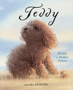 Teddy - Guojing