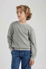 DEFACTO Boy Regular Fit Crew Neck Pullover