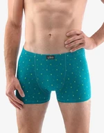 Men's boxers Gino green