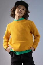 DEFACTO Boy Regular Fit Crew Neck Reversible Sweatshirt