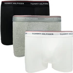 Tommy Hilfiger 3 PACK - pánské boxerky PLUS 1U87905252-004 XXL