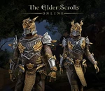 The Elder Scrolls Online - Dragon Slayer Bundle #1 DLC XBOX One / Xbox Series X|S CD Key
