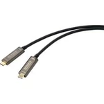 USB-C / DisplayPort kabel SpeaKa Professional [1x USB-C™ zástrčka - 1x USB-C™ zástrčka] černá 15.00 m