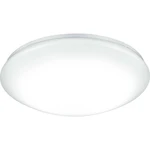 Thorn ECO LENA VARIO 96631864 LED nástenné svetlo 21 W  teplá biela biela