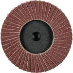 PFERD 47202531 Klapkový kotúč PFERD Priemer 75 mm   10 ks