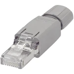 WAGO RJ45-konektor IP20 - CAT5e 750-975 zástrčka, rovná Počet pólov: 8 sivá 1 ks WAGO RJ45-konektor IP20 - CAT5e 750-975 zástrčka, rovná Počet pólov: 8 sivá 1 ks