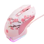 DAREU EM901X Dual Mode Mouse RGB 2.4GHz Wireless Wired Gaming Mouse with Charging Dock Built-in 930mAh Recharging Batter