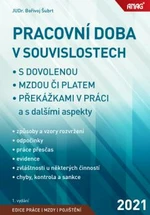 Pracovní doba v souvislostech - Bořivoj Šubrt