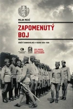 Zapomenutý boj - Micić Milan