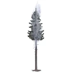 Busch 5431 strom smrek 160 mm 1 ks