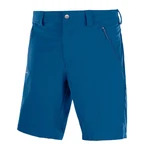 WAYFARER LT SHORT W Poseidon