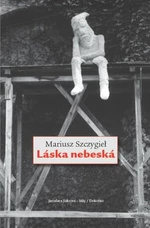 Láska nebeská - Mariusz Szczygieł - e-kniha
