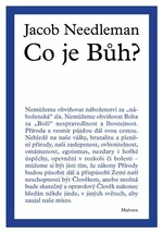 Co je Bůh? - Jacob Needleman