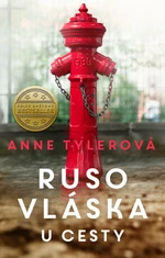 Rusovláska u cesty - Anne Tylerová - e-kniha
