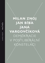 Demokracie v postliberální konstelaci - Jan Bíba, Jana Vargovčíková, Milan Znoj - e-kniha