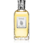 Etro Patchouly toaletná voda unisex 100 ml