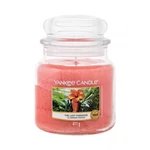 Yankee Candle The Last Paradise 411 g vonná svíčka unisex