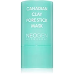Neogen Dermalogy Canadian Clay Pore Stick Mask hloubkově čisticí maska pro stažení pórů 28 g
