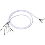 Síťový kabel Bachmann Electric 119272, otevřené konce, 2,5 mm², 3 m, bílá