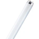 Zářivka Osram, 36 W, G13