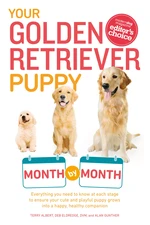 Your Golden Retriever Puppy Month by Month