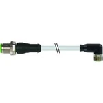 Upravený zástrčkový konektor pro senzory - aktory Murr Elektronik 7000-40601-2200200 2.00 m, 1 ks