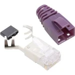 Konektor RJ45 Cat6 BEL Stewart SS-39200-012-K-PU (SS39VIOE), zástrčka rovná, fialová