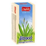 APOTHEKE Jitrocel čaj 20x1.5g