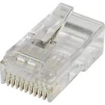 Modulární zástrčka, rovná RJ48 econ connect MPL10/10R počet pólů: 10, čirá, 1 ks