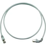 Síťový kabel RJ45 Telegärtner L00001A0199, CAT 6A, S/FTP, 2.00 m, šedá