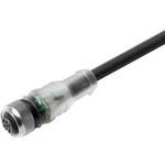 Připojovací kabel pro senzory - aktory Weidmüller SAIL-M12BG-4-2L2.0U 1094190200 1 ks