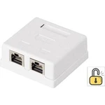 Síťová zásuvka na omítku CAT 6 Renkforce KSV-ND20, RF-4473855, 2 porty, bílá