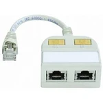 RJ45 ISDN Y adaptér Telegärtner J00029A0011 [2x RJ45 zásuvka - 1x RJ45 zástrčka], šedobílá (RAL 7035)