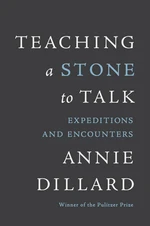 Teaching a Stone to Talk