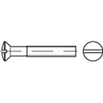 TOOLCRAFT  TO-6863013 skrutky so zápustnou šošovkovou hlavou M5 10 mm drážka DIN 964   Ušlechtilá ocel V4A  A4 200 ks