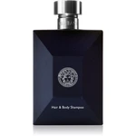 Versace Pour Homme sprchový gél pre mužov 250 ml